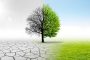 A tree showing comparison between the positive impact of a healthy environment and the negative effects one is green the other half is dry and ground bare and cracked | Understanding Climate Change: A Global Crisis and Its Impacts | Njaga & C. Advocates ESG legal articles