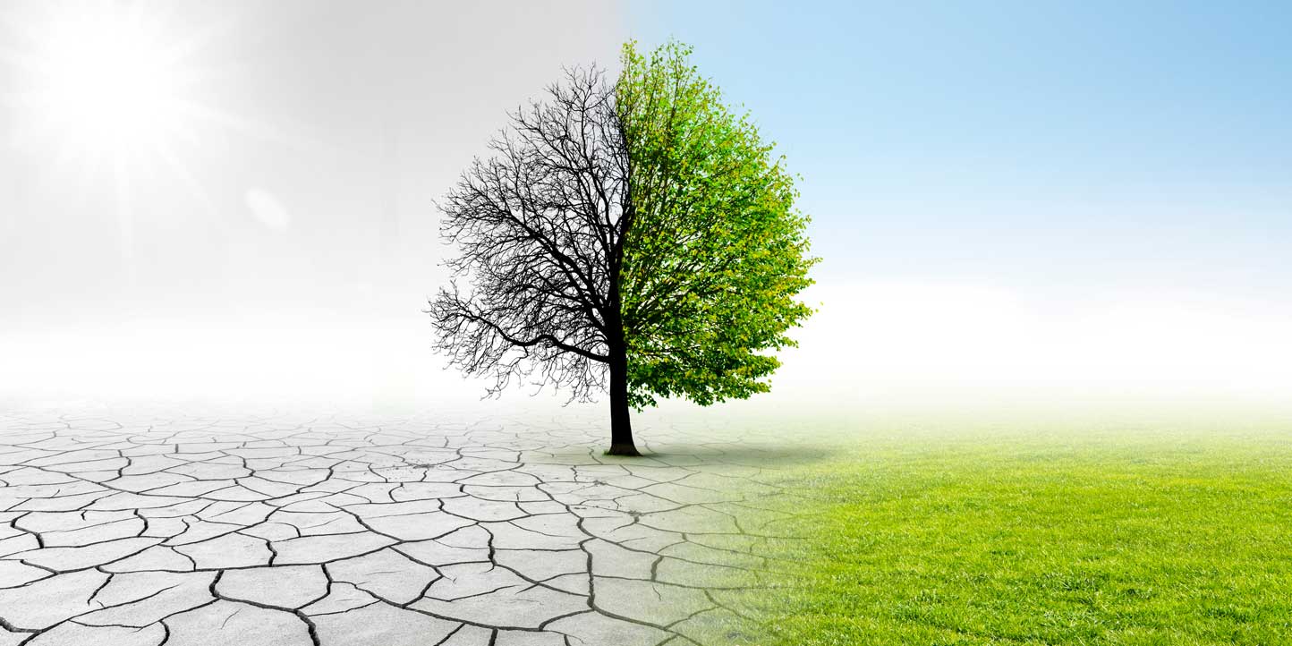 climate-change-article A tree showing comparison between the positive impact of a healthy environment and the negative effects one is green the other half is dry and ground bare and cracked | Understanding Climate Change: A Global Crisis and Its Impacts | Njaga & C. Advocates ESG legal articles