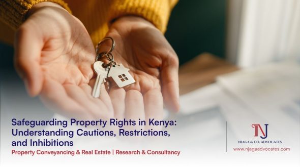 Property Conveyancing and Real Estate