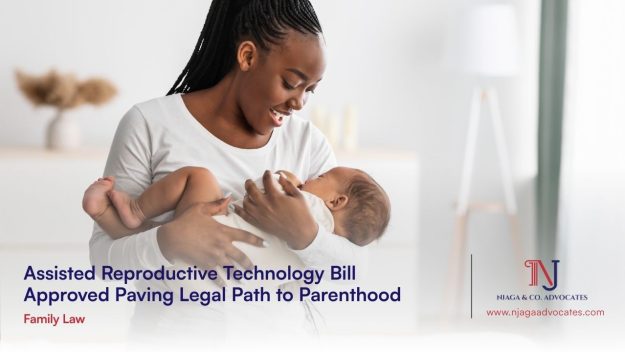 African descent woman holding days old baby all smiles showing Assisted Reproductive Technology concept | family lawyers in kenya