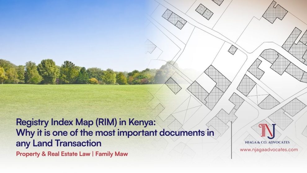 Registry Index Map (RIM) in Kenya